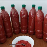 رب خانگی