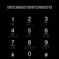 09123800013.09123900013