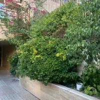 فروش آپارتمان سه خواب صدرا ...طبقه اول