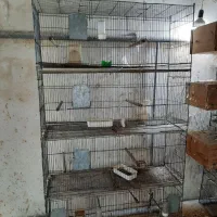 لونه چوبی و قفس ۸خان