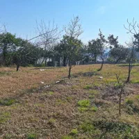 فروش زمین ۶۷۰ متر در شیرگاه