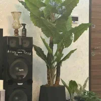 درختچه مصنوعی|گل مصنوعی|اهواز, گلستان|دیوار