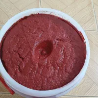 رب گوجه