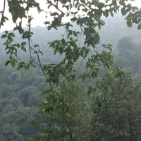 راهنمای