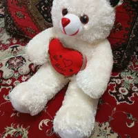 خرس نو|اسباب‌بازی بچه|قم, شهرک مهدیه (مدرس)|دیوار