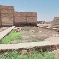 زمین ویس