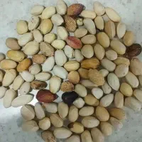 خریدارپسته پوک