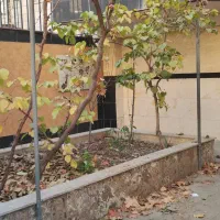 آپارتمان-125-متری-سه-خواب-ط-5-شمالی-گلشهر