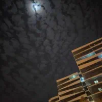 فروش برج ستاره فروردین ۳ خواب دید دریا