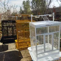 قفس کاسکو آرا کاکادو طوطی