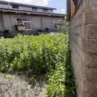 زمین مسکونی چهار دیواری|فروش زمین و ملک کلنگی|رضوانشهر, |دیوار