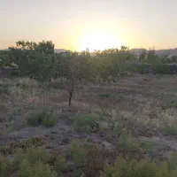 باغ و زمین روستای طینوج دستجرد