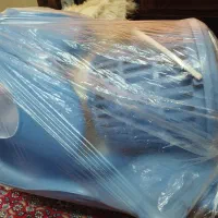 سرویس حمام نوزاد