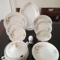 سرویس چینی کامل