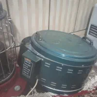 گل فر