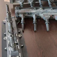 کویل زانتیا