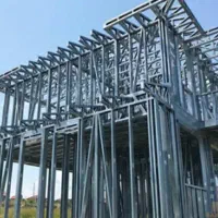 ال اس اف      LSF