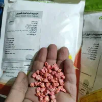 بذر سبزیجات بذر تره بذر یونجه بذر شوید بذر باقالا|گل و گیاه طبیعی|اصفهان, سلطانآباد|دیوار