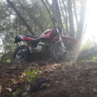 تریل ۲۵۰ t2 /  معاوضه با خودرومدارگ تکمیل