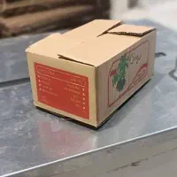 تولیدانواع کارتن های چاپی و لمینتی و تلسکوپی