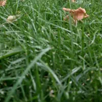 خانه-ویلایی-و-آپارتمان