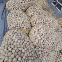 لیموخشک|خوردنی و آشامیدنی|اصفهان, قهجاورستان|دیوار