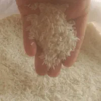 برنج استانه اشرفیه|خوردنی و آشامیدنی|اردبیل, |دیوار