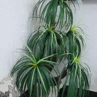 درختچه مصنوعی نخل مردابی|گل مصنوعی|زابل, |دیوار