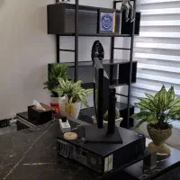 استخدام کافی نت