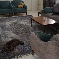 باسلام تمام وسایل بسیار شیک