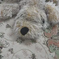 عروسک پشمالو