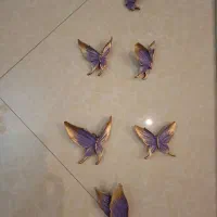 پروانه دیواری