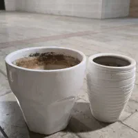 انواع گلدان( حصیری سفالی سایز بزرگ سرامیک)|گل و گیاه طبیعی|تهران, تهرانسر مرکزی|دیوار