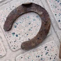 نعل اسب|اسب و تجهیزات اسب‌سواری|اردبیل, |دیوار