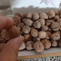 کالای خانگی|کیف، کفش، کمربند|تهران, نظام‌آباد|دیوار