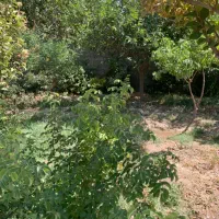 فروش باغچه ۷۰۰ و ۱۴۰۰ متری چهاردیواری ،اسلامشهر|فروش دفتر صنعتی، کشاورزی، تجاری|بهارستان, |دیوار