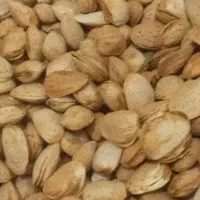 خریدار خشکبار