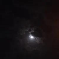گمشده  طلا