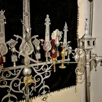 علم سردمی  شبکه ای با حیوانات  جکشی