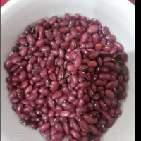 لوبیا
