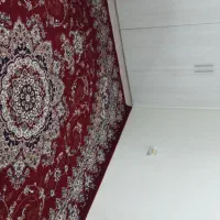 فرش قرمز|فرش|اهواز, پادادشهر|دیوار