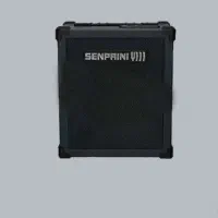 اکوی خانگی با میکروفون