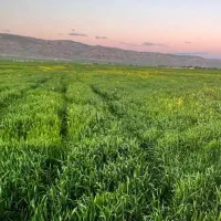 نیازمند نیروی کار