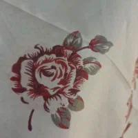 کالسکه کریر