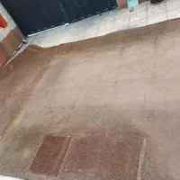 موکت..روروئک