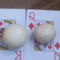 سنگ آسیاب|کلکسیون اشیاء عتیقه|فردوس (خراسان), |دیوار