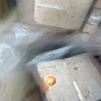 کبوتر  و ارک|پرنده|جوانرود, |دیوار