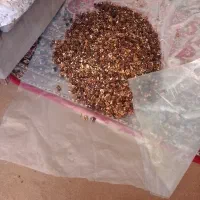 گردو|حراج|خوانسار, |دیوار