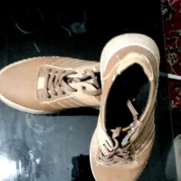 کفش زنانه و مردانه|کیف، کفش، کمربند|قم, باسکول|دیوار
