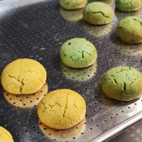 فروش رسپی بوک کوکی و کیک